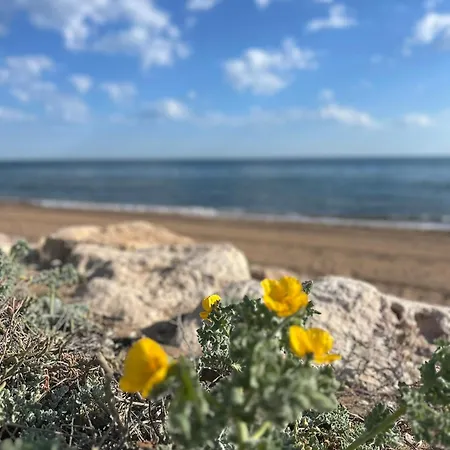 La Barraca Del Pescador