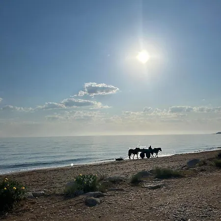 Lägenhet La Barraca Del Pescador Denia