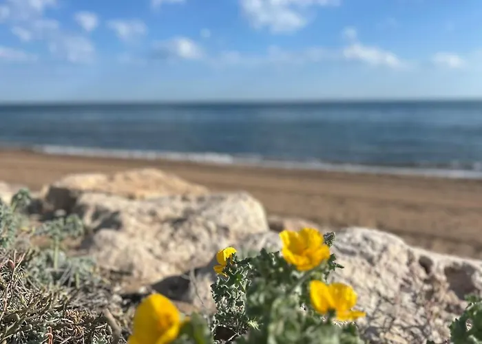 La Barraca Del Pescador