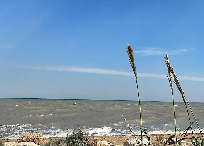 公寓 La Barraca Del Pescador