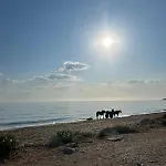 Lejlighed La Barraca Del Pescador Dénia