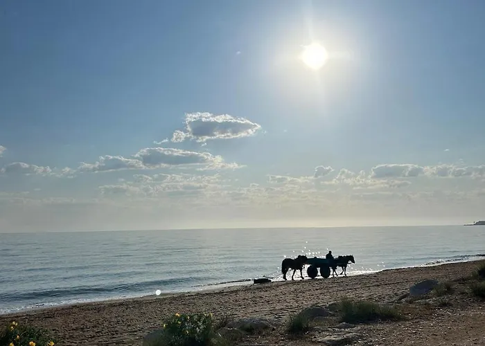 Appartement La Barraca Del Pescador Dénia